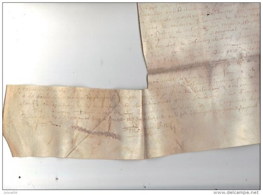 parchemin manuscrit de 1654