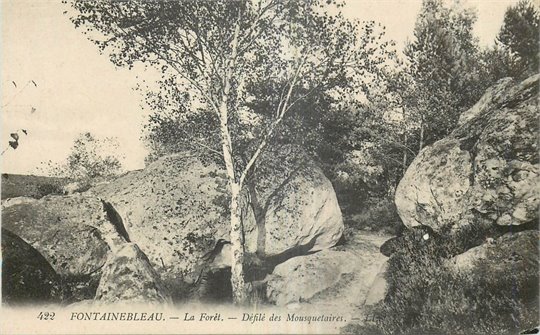 fontainebleau la foret defilé des mousquetaires