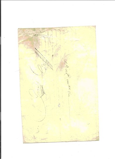 Document sur peau marechal de camp cavalerie Pierre de Beauveze