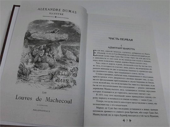 Александр Дюма: Волчицы из Машкуля. 2 тома