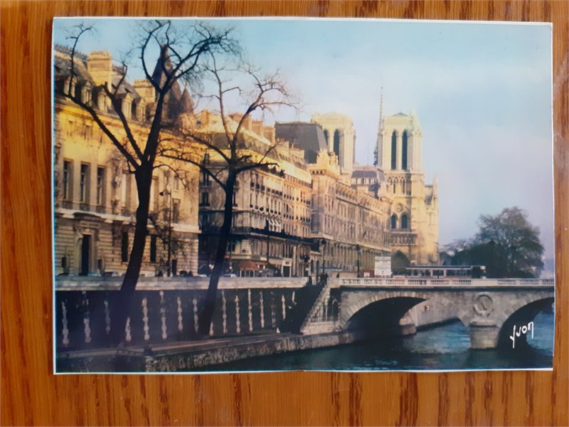 CPA  Paris   Les Quais de la Seine et Notre-Dame