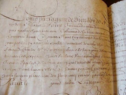 Document velin 1662 accord de privilege a un chevaux leger de la Reine