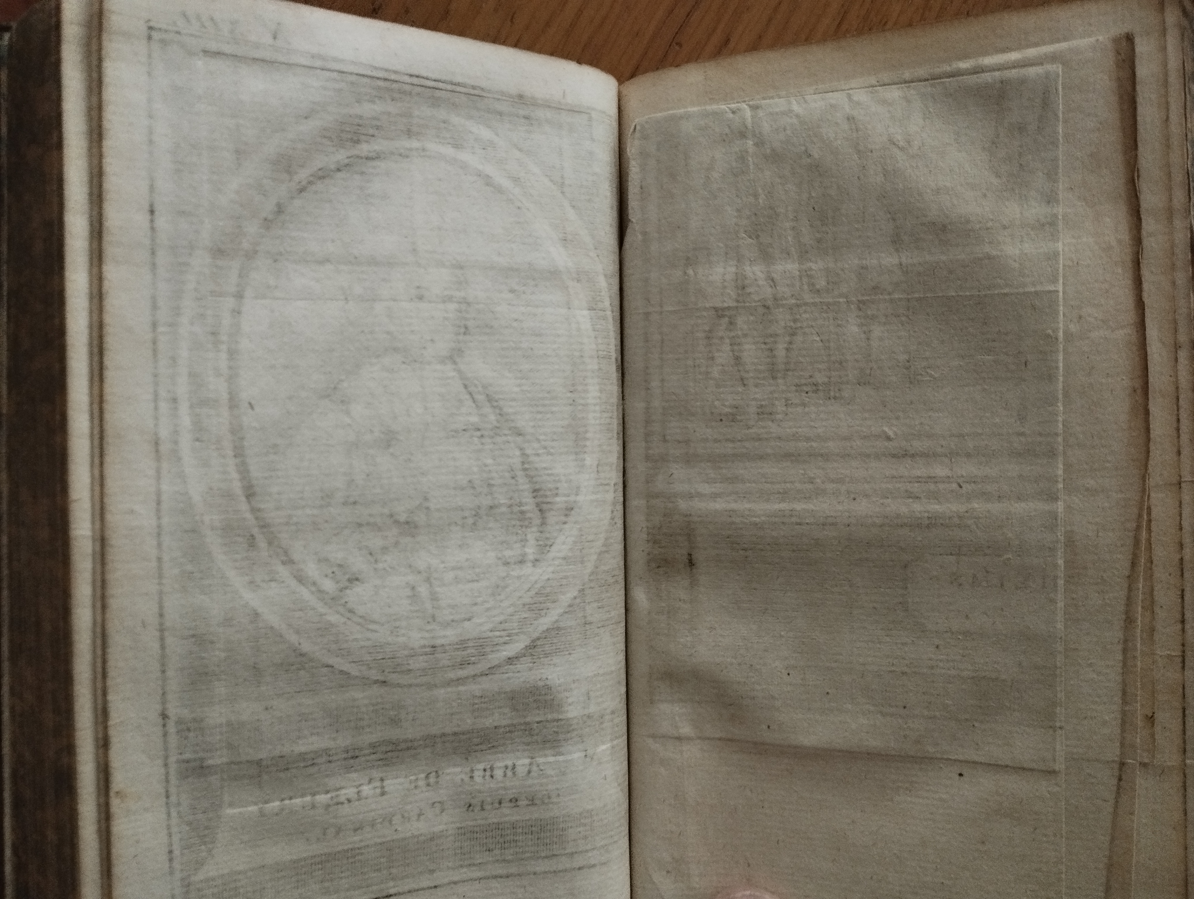 La vie de Philippe d'Orleas, petit fils de France, regent du Royaume Pendant le Minorité de Louis XV    2