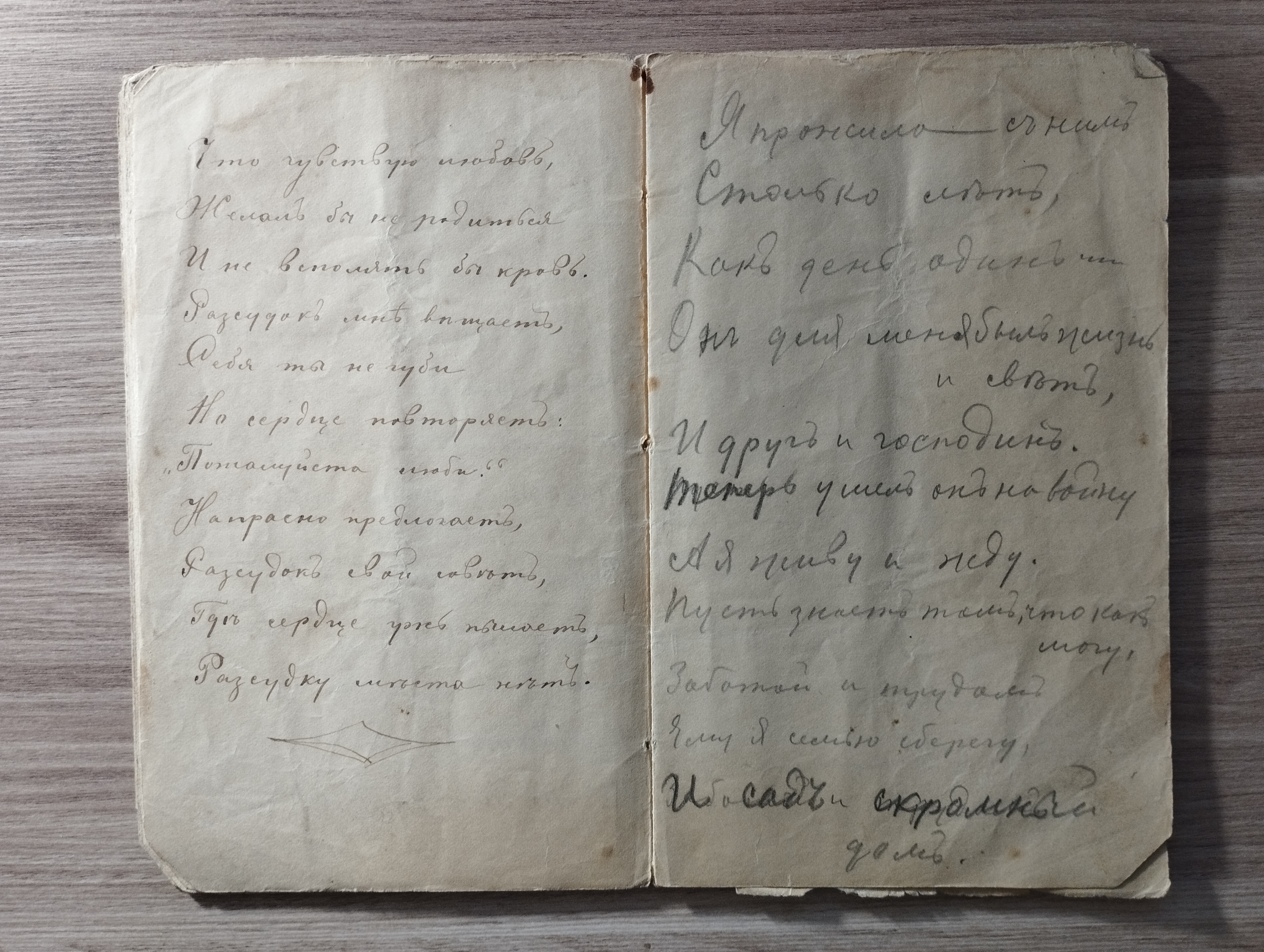 Рукописный дневник стихотворений