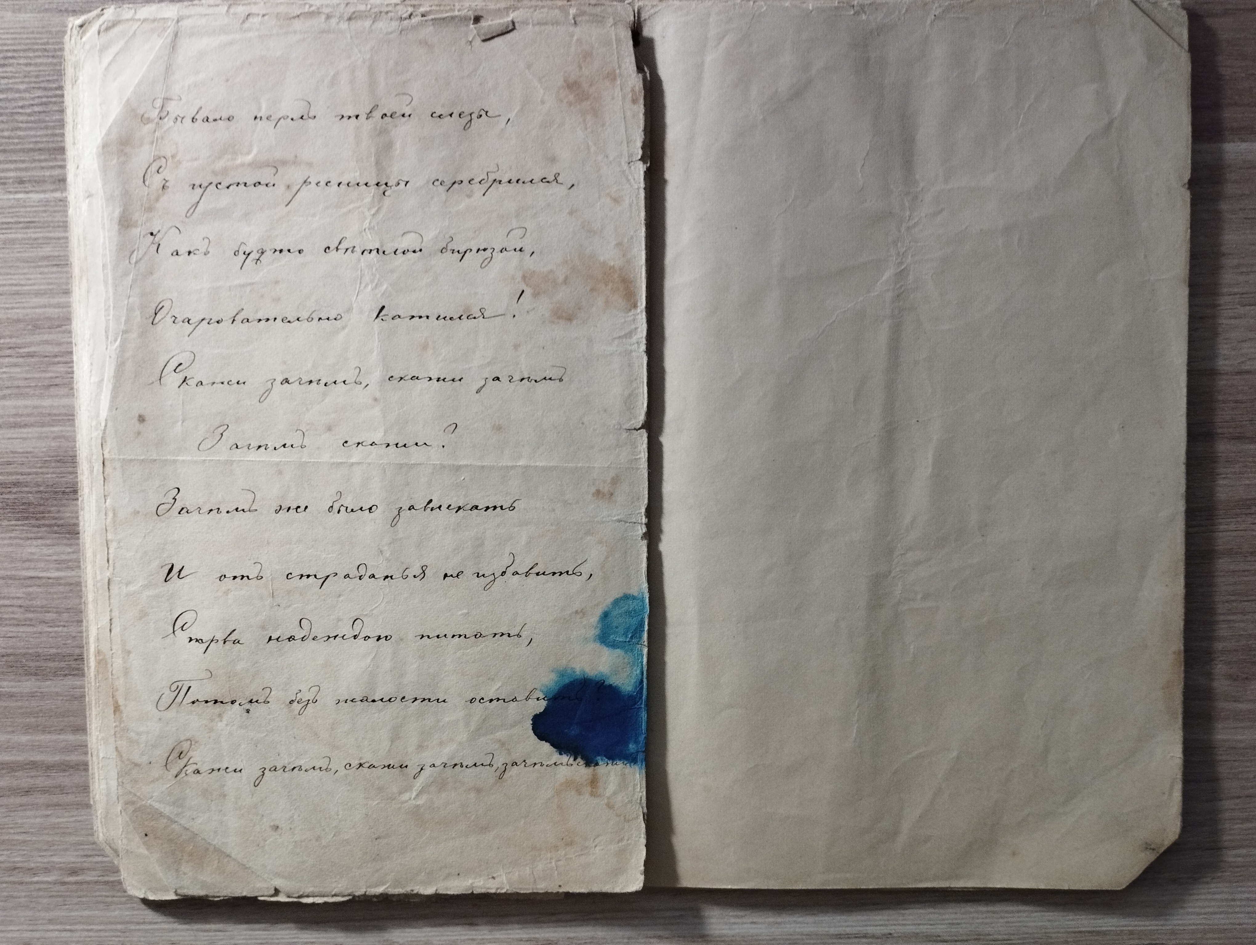 Рукописный дневник стихотворений