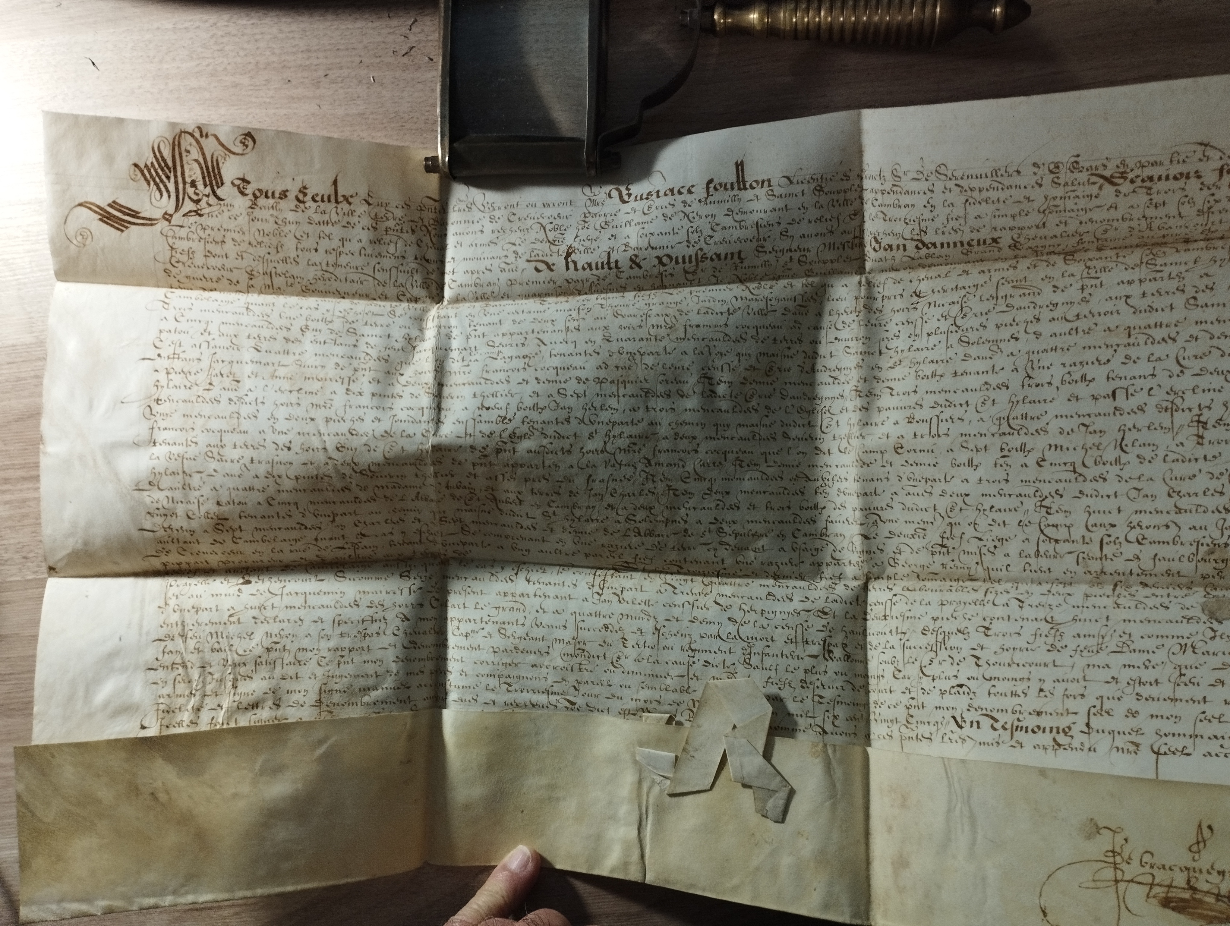 acte de dénombrement et de relief de fief (2 novembre 1625)