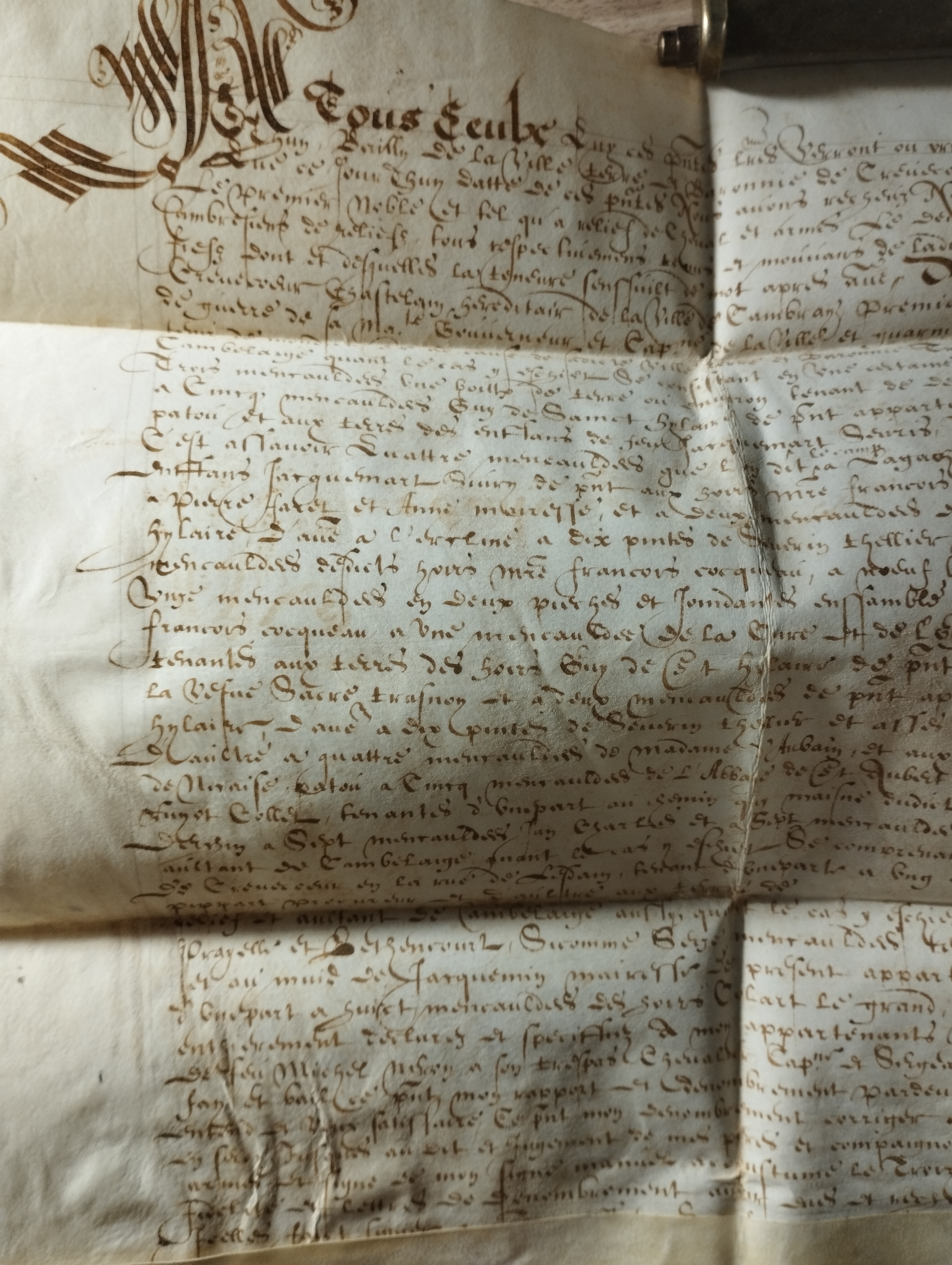 acte de dénombrement et de relief de fief (2 novembre 1625)