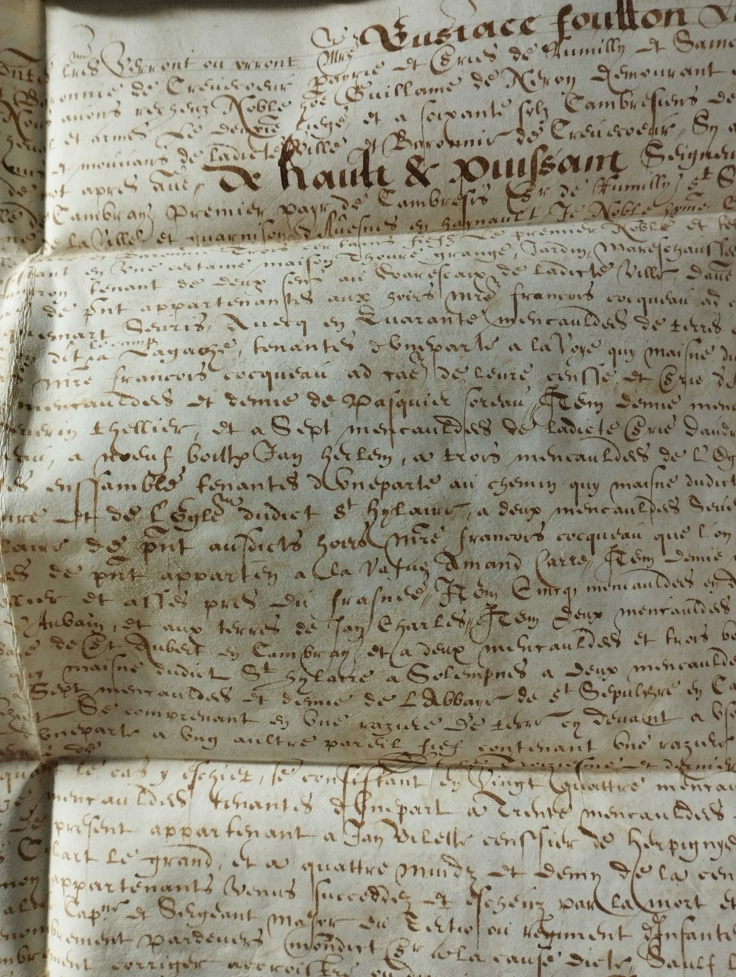 acte de dénombrement et de relief de fief (2 novembre 1625)