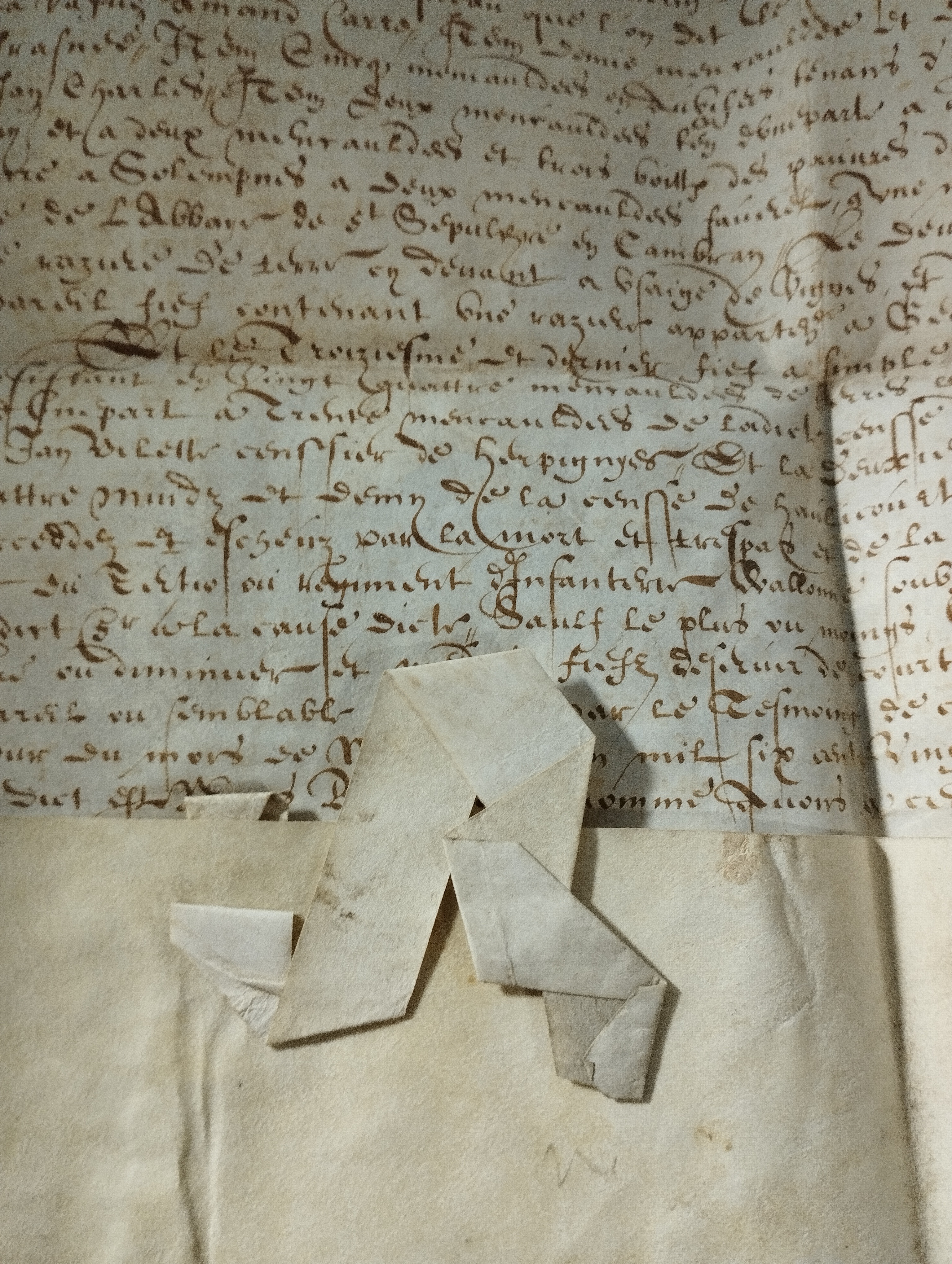 acte de dénombrement et de relief de fief (2 novembre 1625)   2