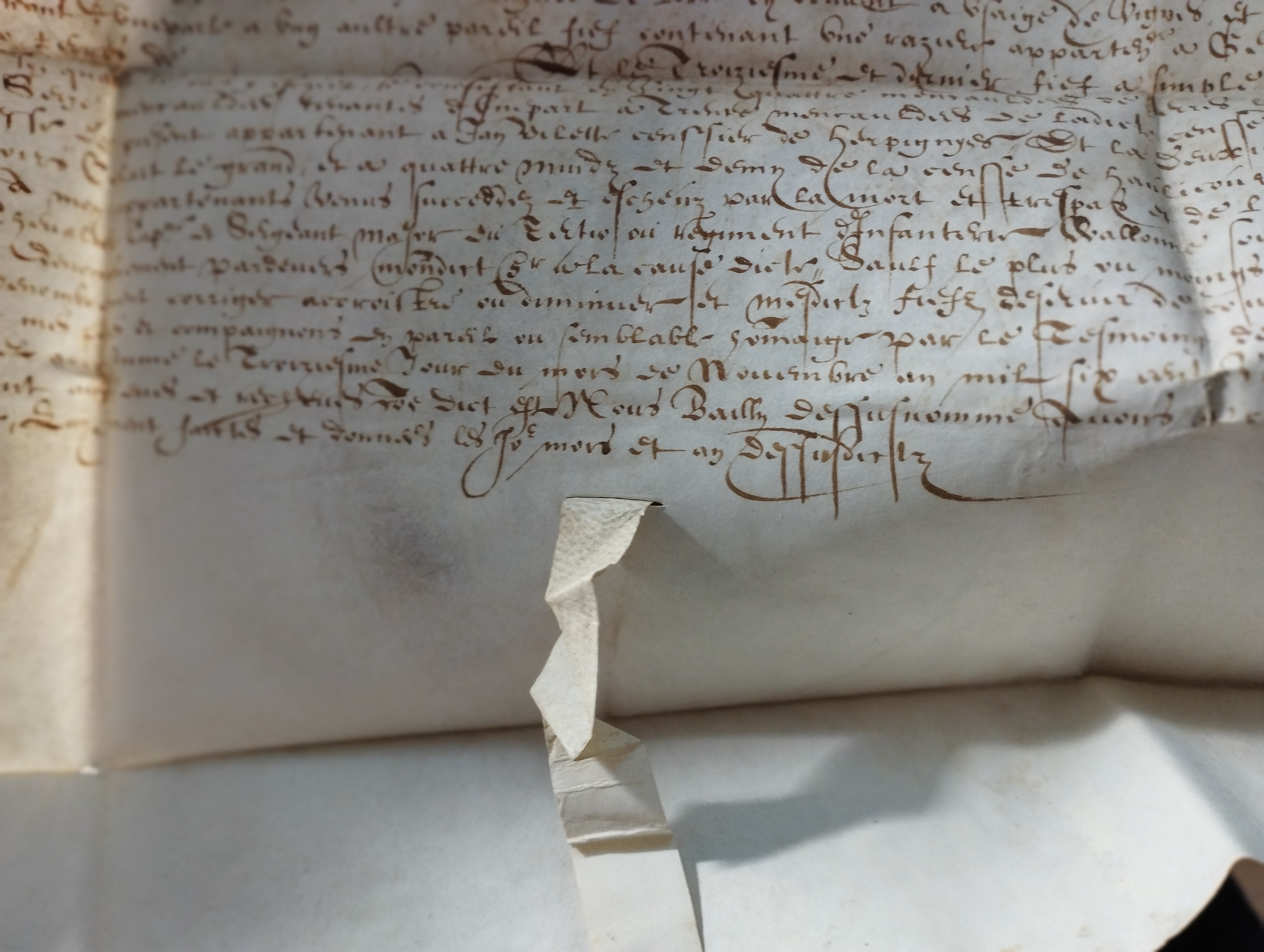 acte de dénombrement et de relief de fief (2 novembre 1625)   2